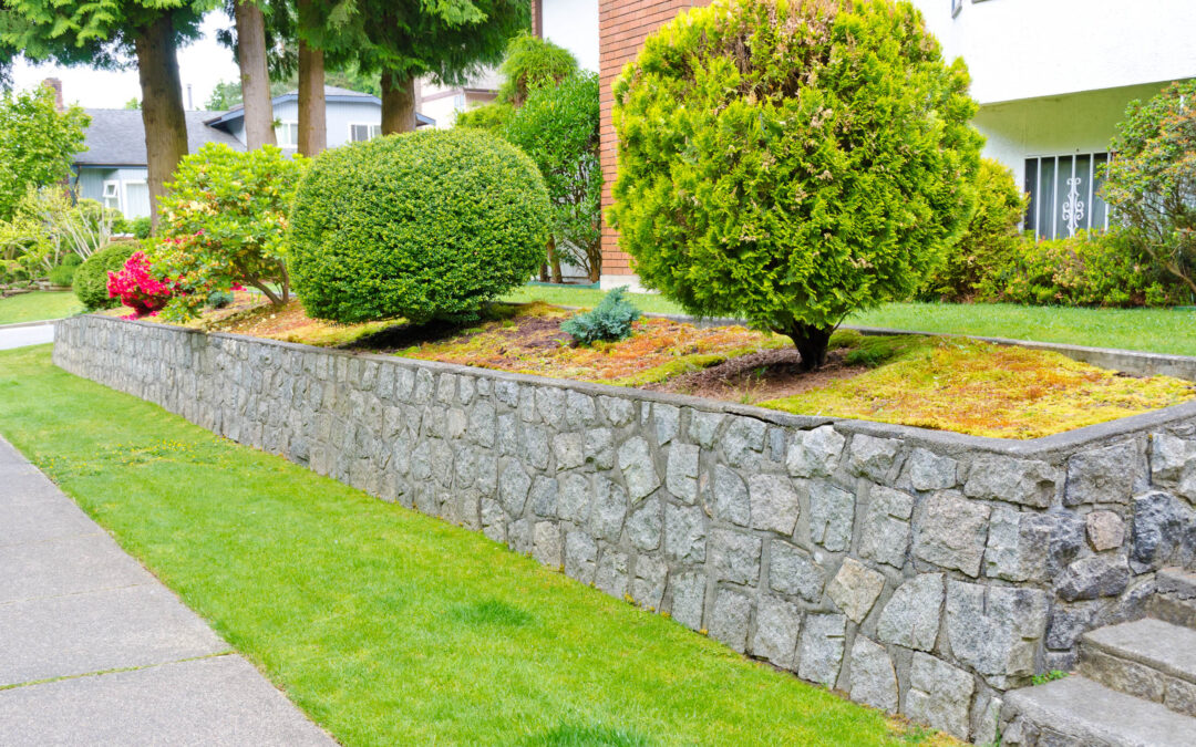 Why Should You Invest in Water Well Services for Your Garden or Lawn?